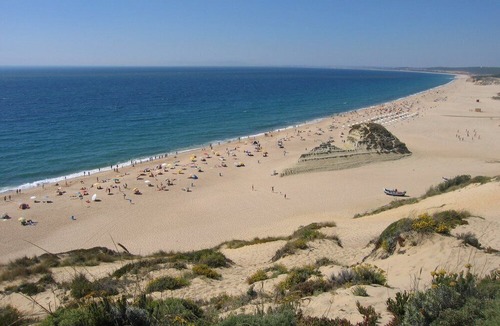 Quinta Do Conde House | Small pine forest Villa Sesimbra