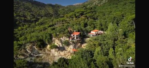 El Khiam Resort | The Oasis Healing Resort