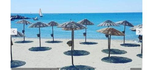 Cabo Negro Apartment | CABO DREAM Hotel