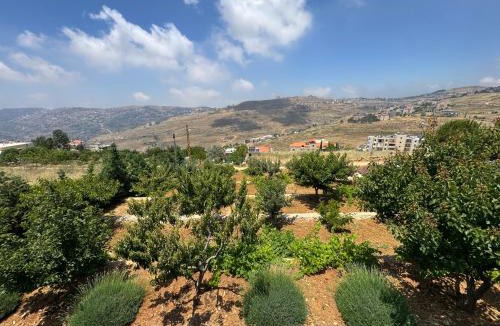 Duhur ash Shuwayr Cabin | M Place