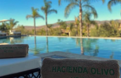Dar Oum Soltane Hotel | Hacienda Olivo