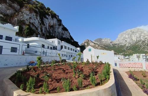 Belyounech Bed & Breakfast | Espace socio culturel Dr Masmudi