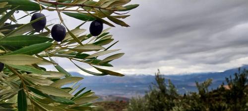 Ighzrane Hotel | Eco-Lodge IGHAZRAN