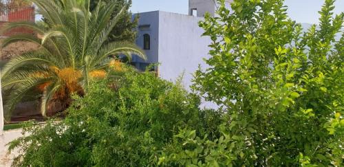 Chefchaouen Apartment | Apartment in Chefchaouen