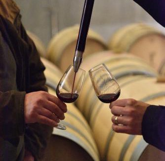 Vaiamonte Hotel | Torre de Palma Wine Hotel, Monforte, a Member of Design Hotels