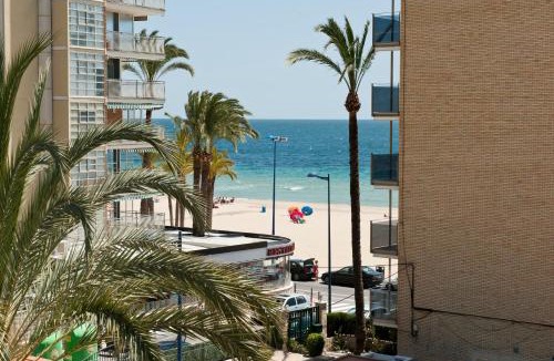 Cala Hotel | Hotel El Palmeral