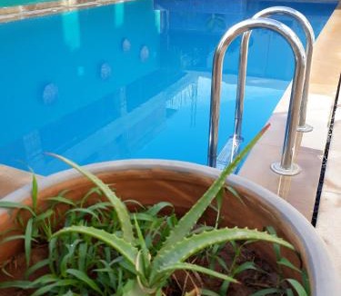 Fes Bed & Breakfast | Riad Passiflora