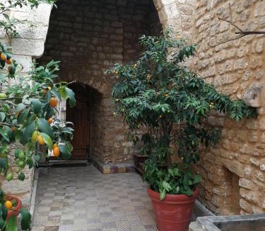 Tyre Bed & Breakfast | Dar Camelia