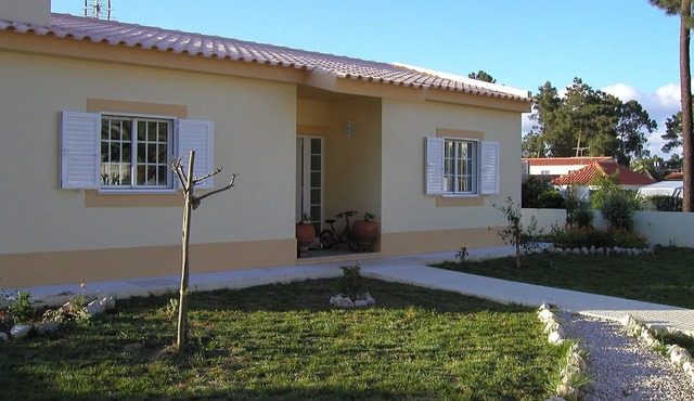 Small pine forest Villa Sesimbra
