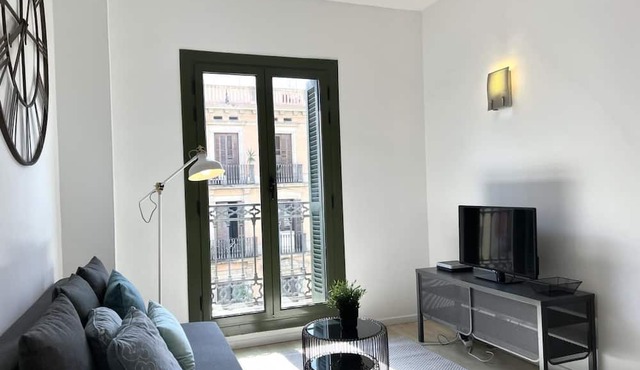 Cozy apartment in the very center of Barcelona