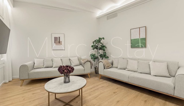 Stylish and Modern Apartment