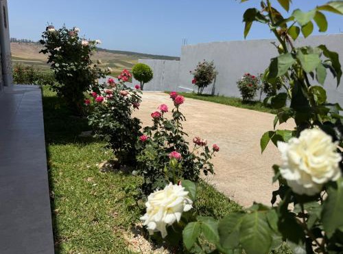 3 Bedroom Swimming Pool Villa