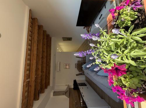 Apartamentos Lovely Rooms Vic