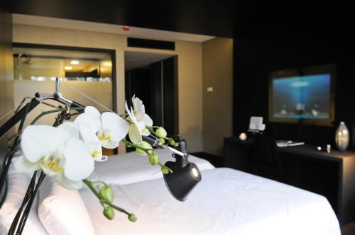 Evidencia Belverde Hotel